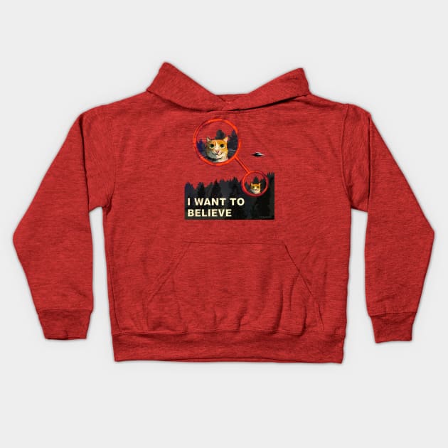 I WANT TO BELIEVE (In Cats!) Kids Hoodie by Catwheezie